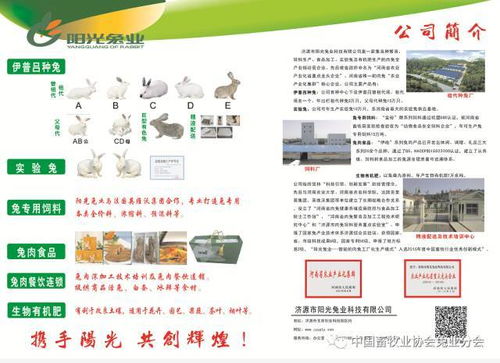 第七屆2017中國(guó)兔業(yè)發(fā)展大會(huì) 行業(yè)精英齊聚，技術(shù)與服務(wù)共繪產(chǎn)業(yè)藍(lán)圖